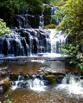 Purakanui Falls